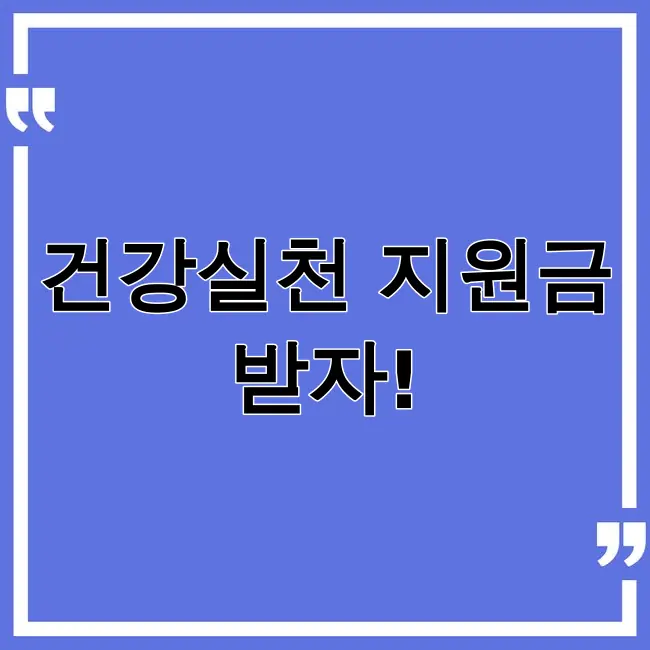 건강생활실천 지원금제