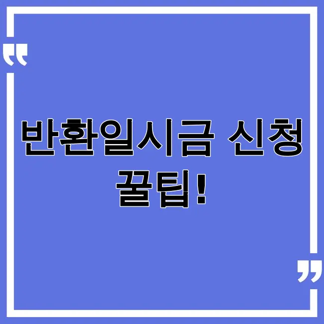 국민연금 반환일시금